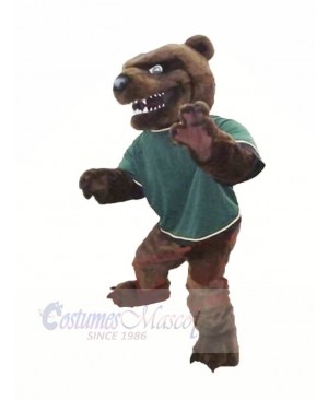 Fierce Brown Bear Mascot Costumes Cartoon
