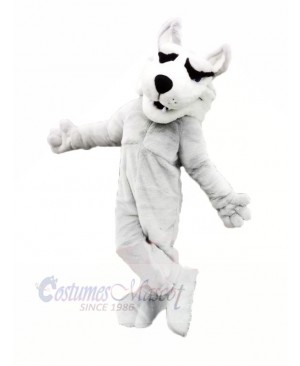 White Husky Mascot Costumes Cartoon