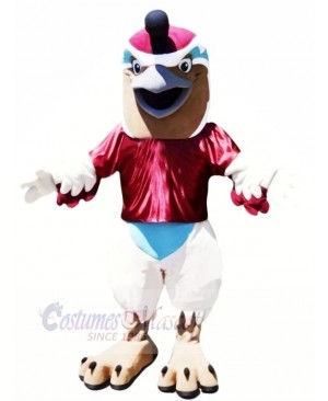 Funny Quail Mascot Costumes Cartoon	