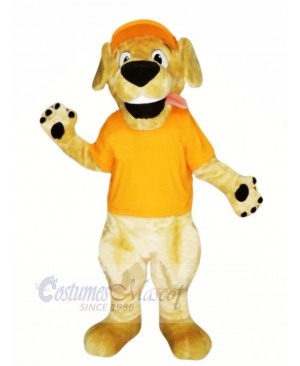 Retriever Dog with Orange T-shirt Mascot Costumes Cartoon	