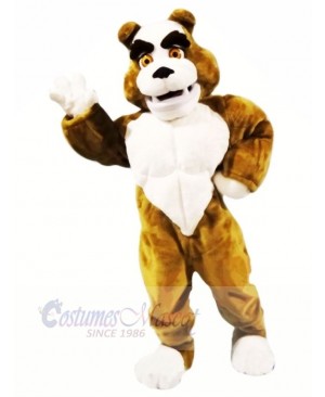 Power Muscular Bulldog Mascot Costumes Cartoon