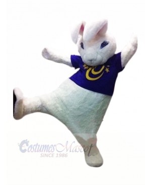 High Quality White Rabbit Mascot Costumes