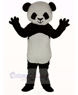 Cute Shorthair Panda Mascot Costume