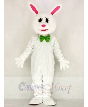 Funny Easter Bunny Rabbit Mascot Costume School 