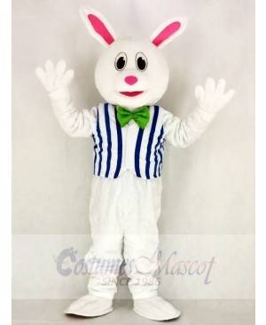 Funny Easter Bunny Rabbit with Vest Mascot Costume School 	