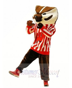 Wisconsin Badgers Mascot Costume 