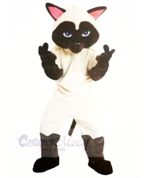 Funny Sally Siamese Cat Mascot Costumes Cartoon	