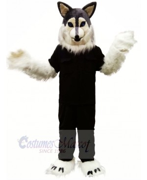 Grey Wolf Husky Mascot Costumes Cartoon