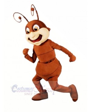Brown Ant Mascot Costumes Cartoon	