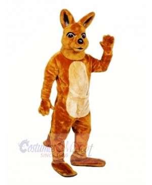 Quality Kangaroo Mascot Costumes Cartoon