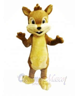 Cute Furry Chipmunk Mascot Costumes 