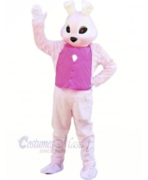 Bunny with Pink Vest Mascot Costumes Animal