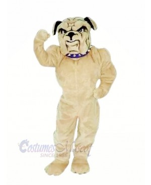 Realistic Bulldog Mascot Costumes Cartoon