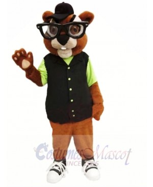 Chubby Chipmunk Mascot Costumes 