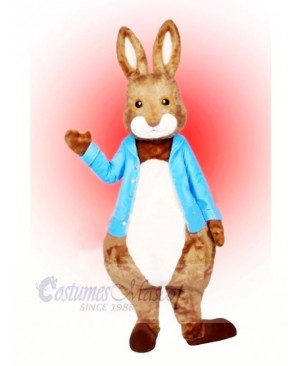Peter Rabbit Mascot Costume Cartoon