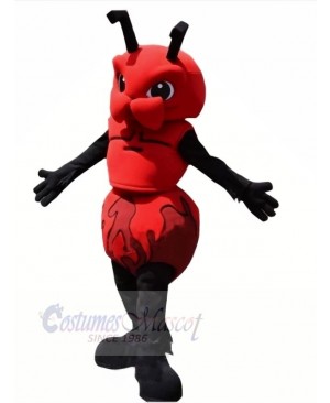 Fierce Black Ant Mascot Costumes