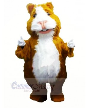 Cute Hamster Mascot Costumes Cartoon	