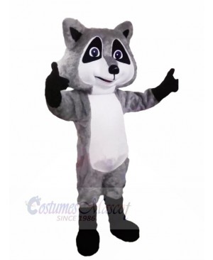Cute Grey Raccoon Mascot Costumes Cartoon