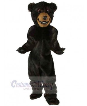 Baxter Bear Mascot Costume For Adults Mascot Heads