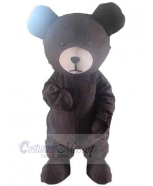Classic Bear Mascot Costume For Adults Mascot Heads