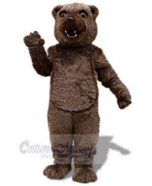 Plush Material Brown Bear Mascot Costume For Adults Mascot Heads