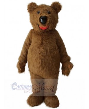 Plush Bear Mascot Costume Animal