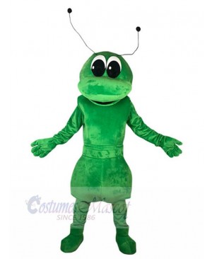 Funny Green Ant Mascot Costume Animal