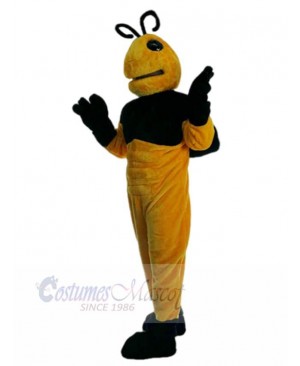 Party Bee Honeybee Mascot Costume Animal