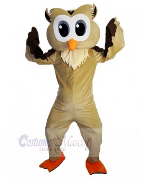 Event Brown Owl Mascot Costume Animal