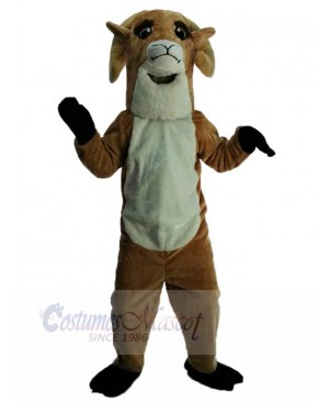 Friendly Sheep Mascot Costume Animal