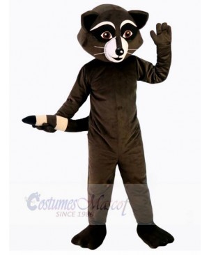 Lovely Raccoon Mascot Costume Animal