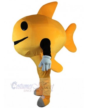 Fancy Dress Fish Mascot Costume Animal