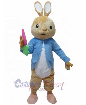 Peter Rabbit Mascot Costume Animal