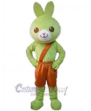 Green Rabbit Mascot Costume Animal