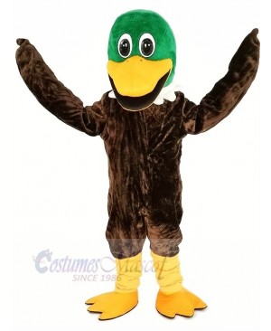 Green Head Mallard Duck Mascot Costume Animal