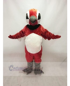 Red Brown Quail Mascot Costume Animal 