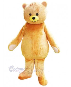 Likable Soft Bear Mascot Costume Animal