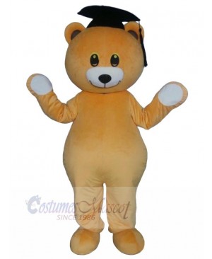 Bear in the Bachelor Cap Mascot Costume Animal