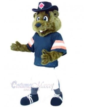 Baseball Bear Mascot Costume Animal