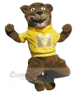 Bear in Yellow Sweat Shirt Mascot Costume Animal