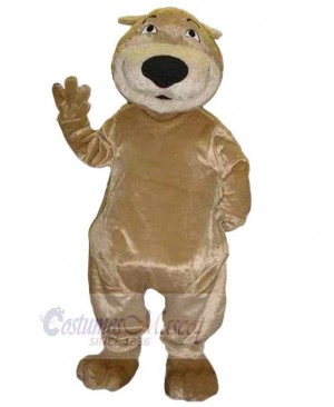 Big Nose Brown Bear Mascot Costume Animal