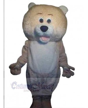 Simple Bear Mascot Costume Animal