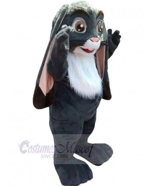 Gray Easter Bunny Mascot Costume Animal