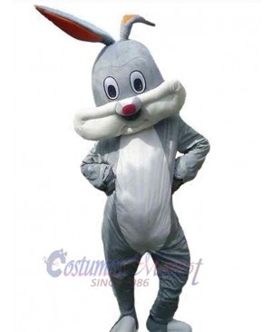 Likable Bunny Rabbit Mascot Costume Animal