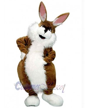 Brown Rabbit Mascot Costume Animal