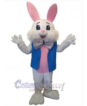 Gentle Rabbit Mascot Costume Animal