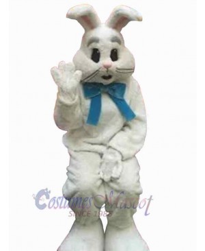 Bunny Adult Mascot Costume Animal