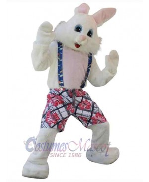 Strong Easter Bunny Mascot Costume Animal