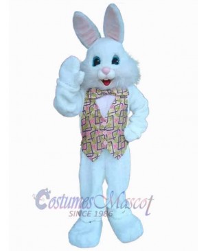 Nice Bunny Mascot Costume Animal