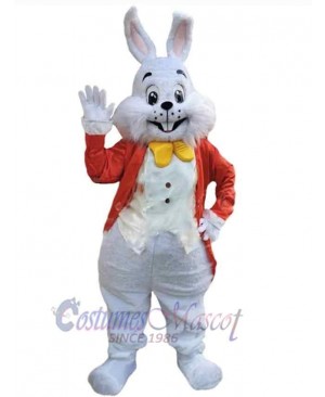 Greeting Easter Bunny Mascot Costume Animal